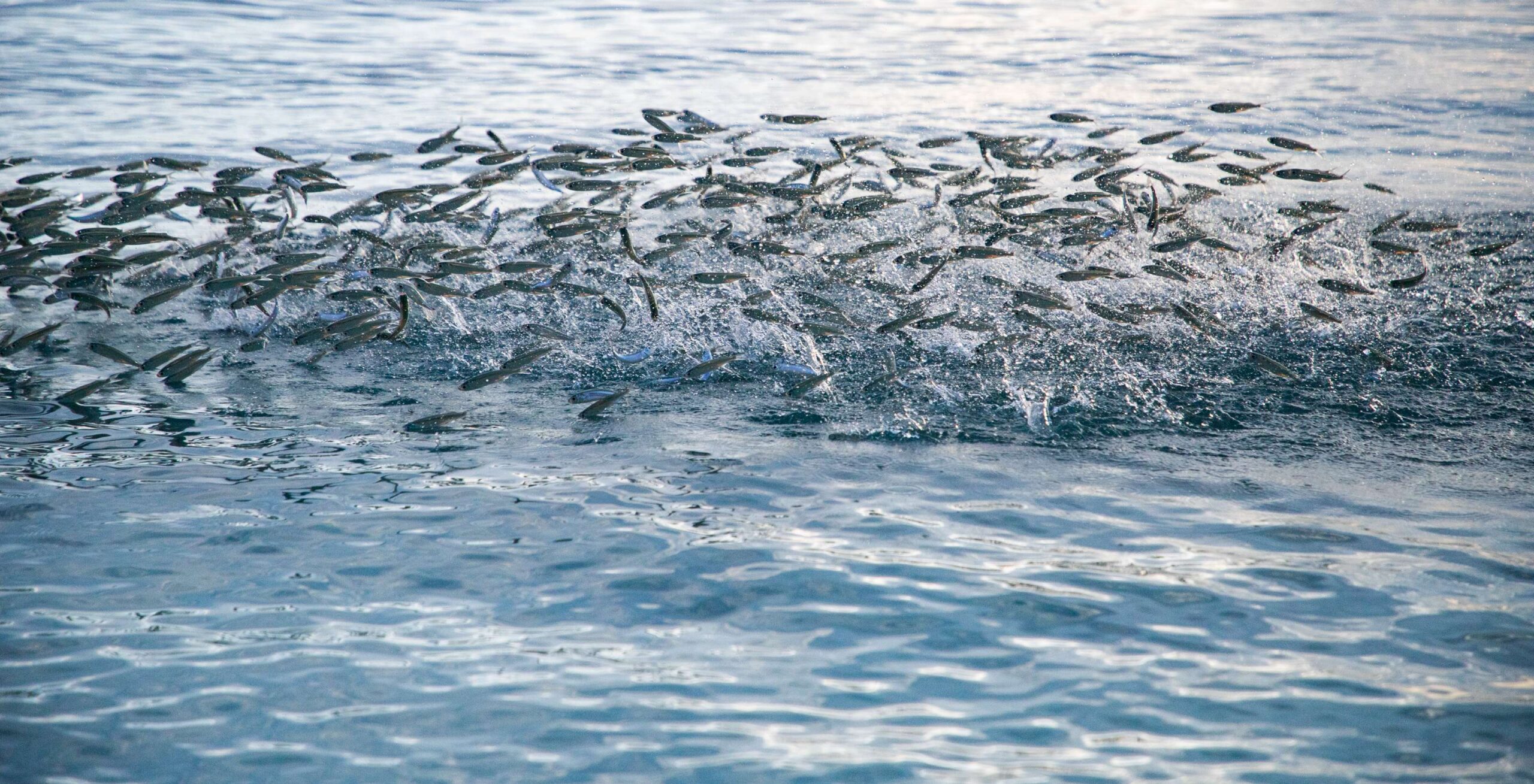 Best Fishing Spots in British Columbia