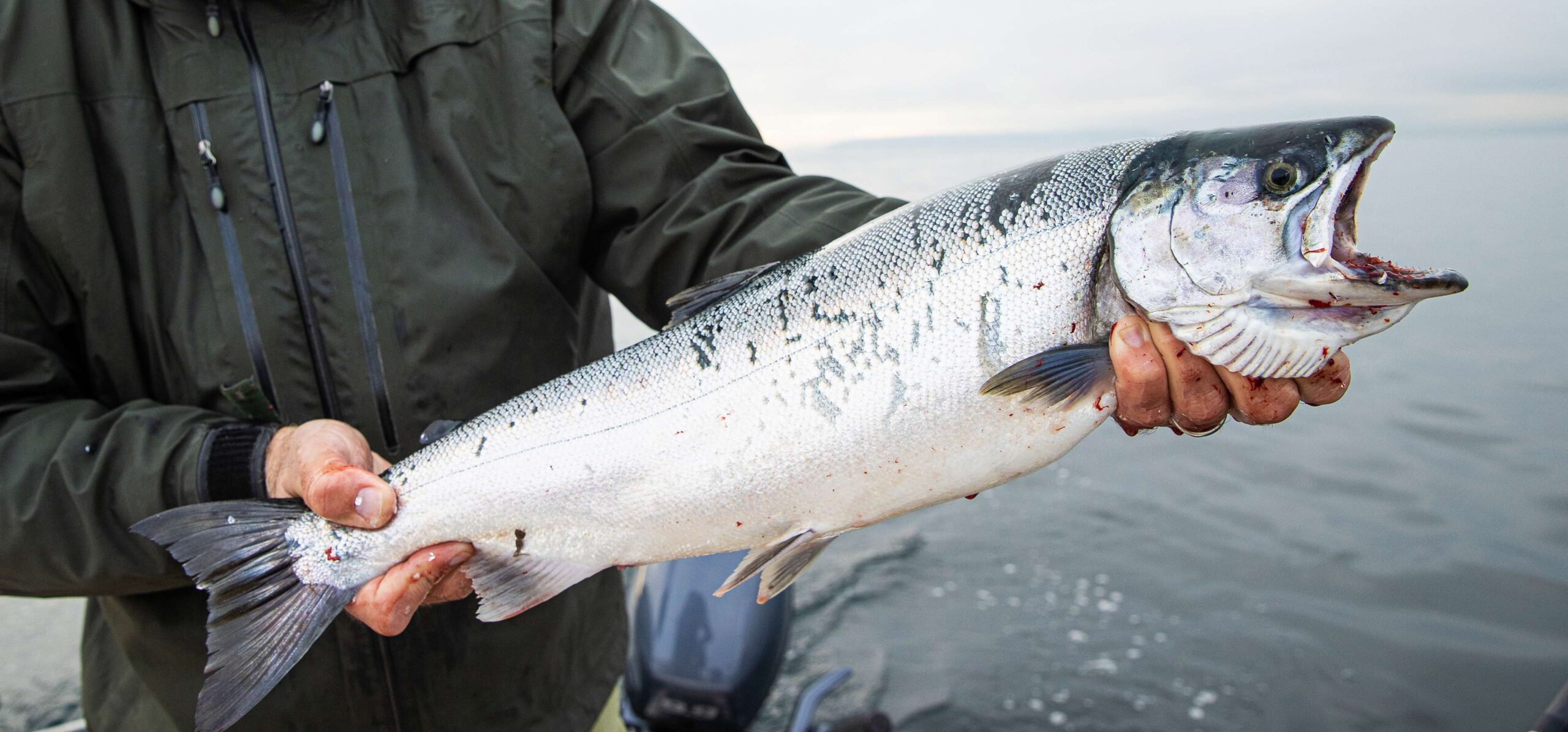 Salmon Fishing in BC — Complete Guide